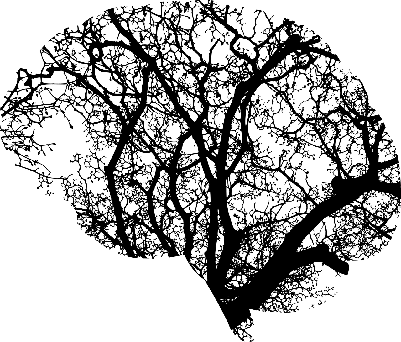 g3fc47f0be99980e41ff2bee0a5f74e8b317baad385f523fda387396a5563d8bd8cf68a0021ffdfb9d2307233c54f6e8d310124d4de5babcaef36a45101bf7c93_1280-2146817 brain, anatomy, abstract, art, branches, computation, compute, contemplate, cranium, ecology, environment, green, head, human, knowledge, mental, health, people, person, profile, recycle, think, thought, tree, understand, unknown, nature, artificial intelligence, cut out